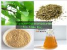 Ginkgo Biloba Extract (Gbe)